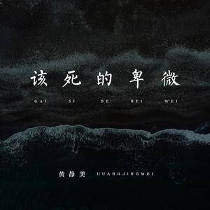 该死的卑微(DJ版)